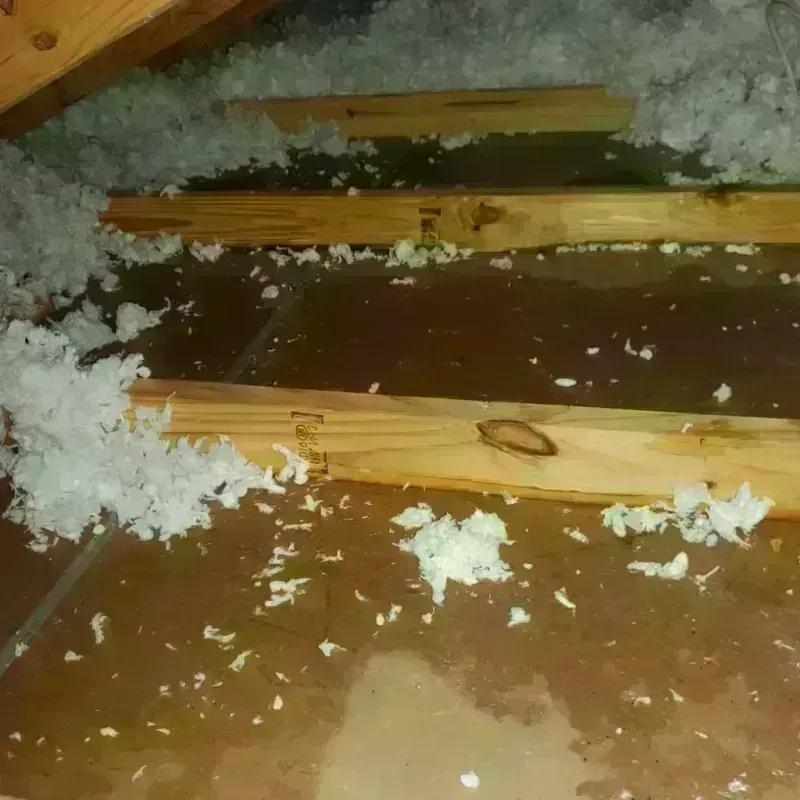 Attic Water Damage in Johnson City, TX