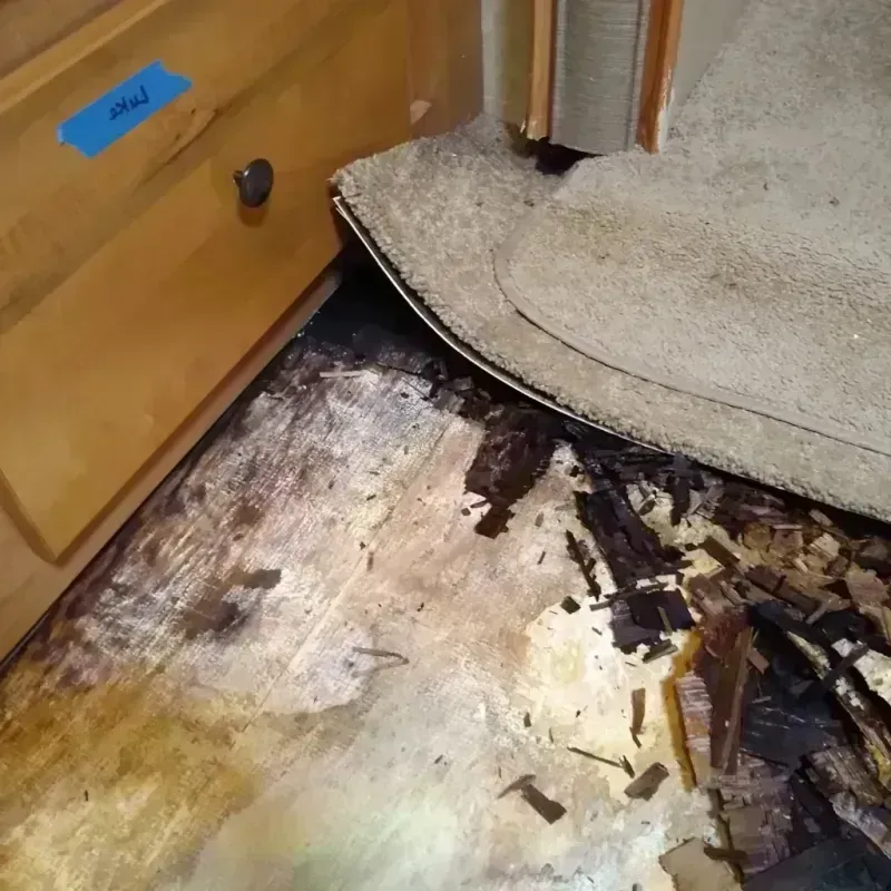 Wood Floor Water Damage in Johnson City, TX